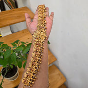 Padmavathi Hip belt