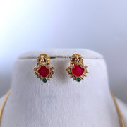 Budget Palakkas Lakshmi