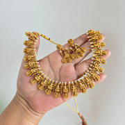 Multi Lakshmi bridal combo