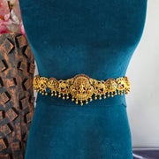 Seethalakshmi hipbelt