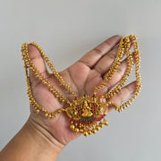 Dhanalaxmi hair maati
