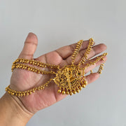 Dhanalaxmi hair maati