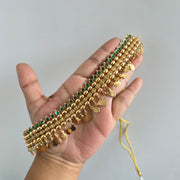 Elakkathali Leaf Green