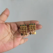 Elakkathali Leaf Green