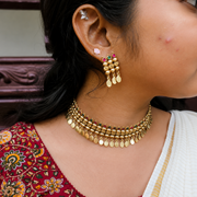 Elakkathali Multicolor